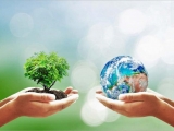 Vai trò của cây xanh đối với đời sống con người